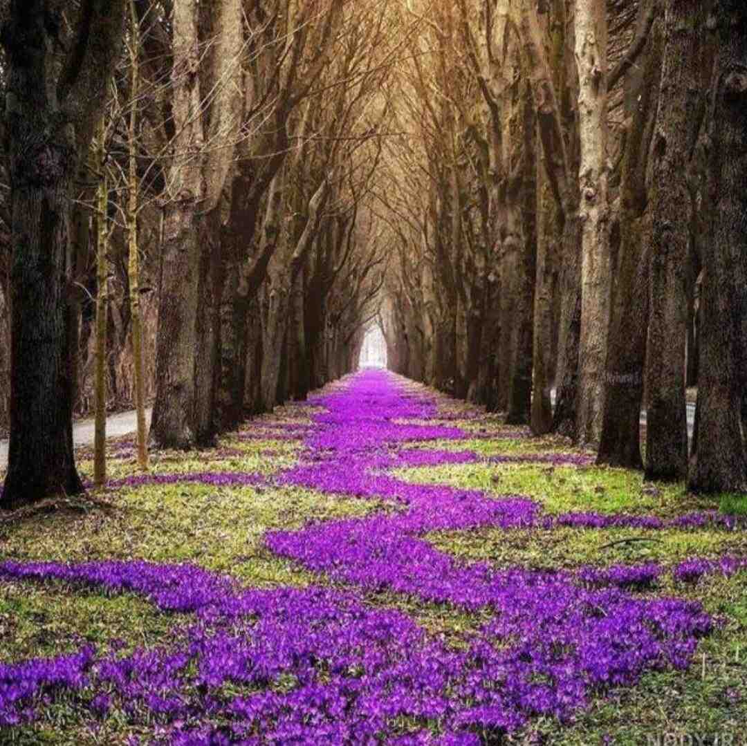  بتاز گله ی اکسیژن و راه مال رویی چیزی - هوش مصنوعی