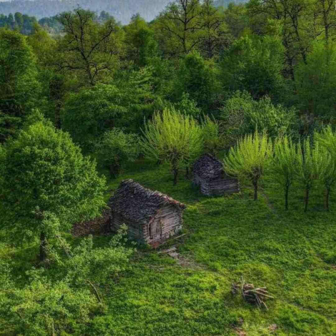 حسودی کنم اسکل به چیت