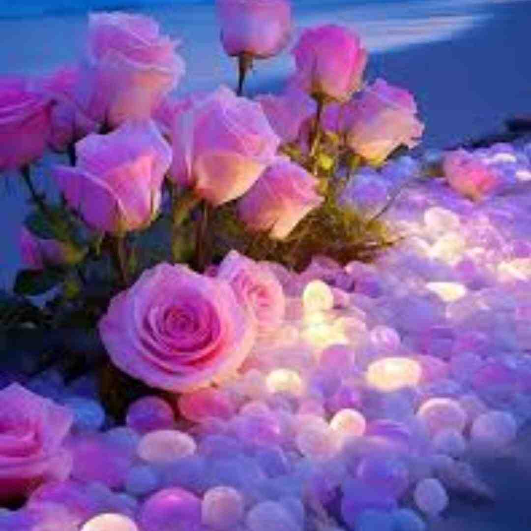  شب از خیالت در فغان روز از غمت در زاریم