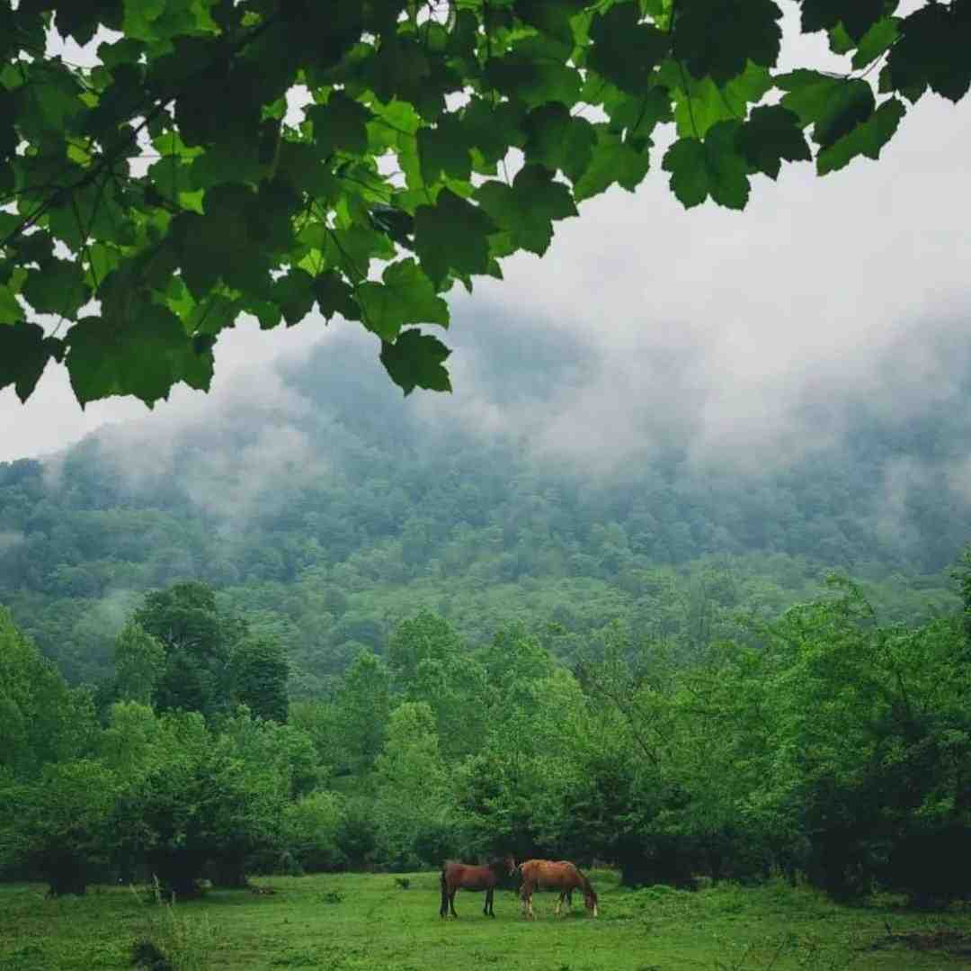 حالا که دوس داری بری هرجا هستی خوب باشی بیبی