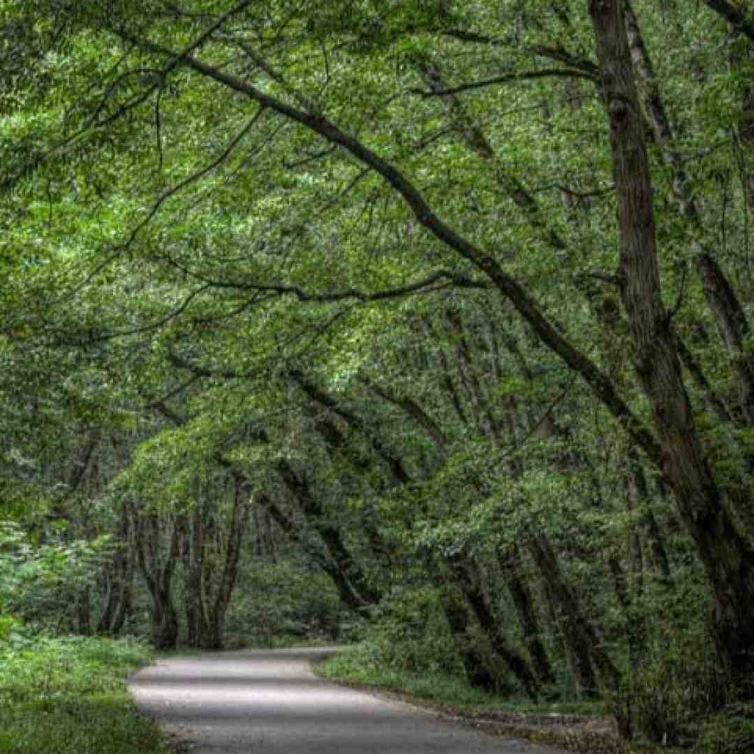 لیلا لیلا میگن که تهش قهره