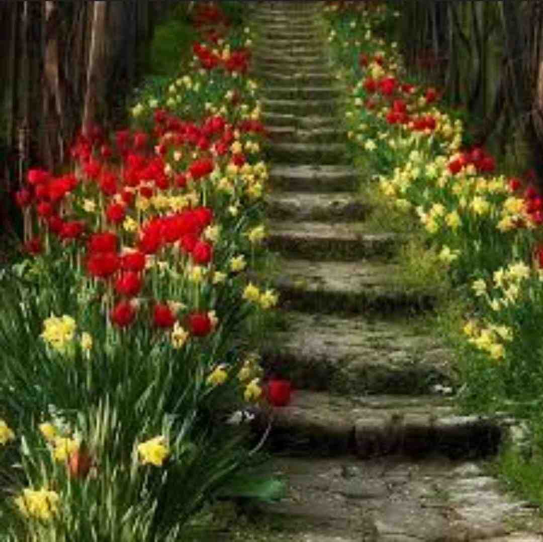 نگو هنوز همونی کردی تو یه کارایی
