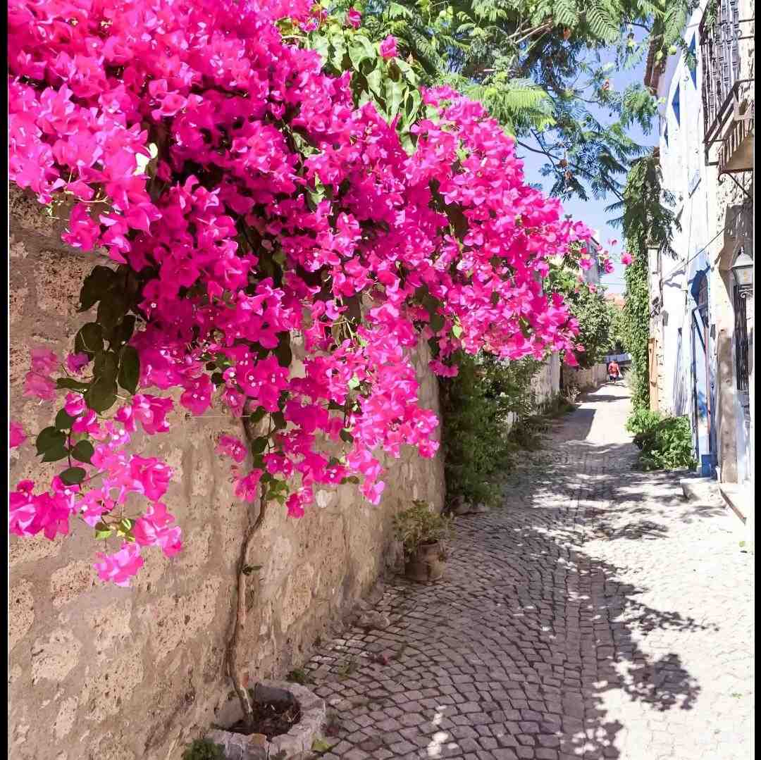  امشب از ندیدنت نه اون نمیترسه