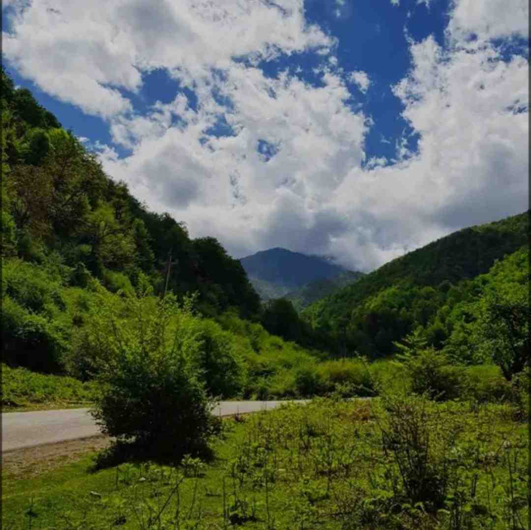  کبوتر دلم از لب بوم دلت نمیپره با صدای دختر و پسر