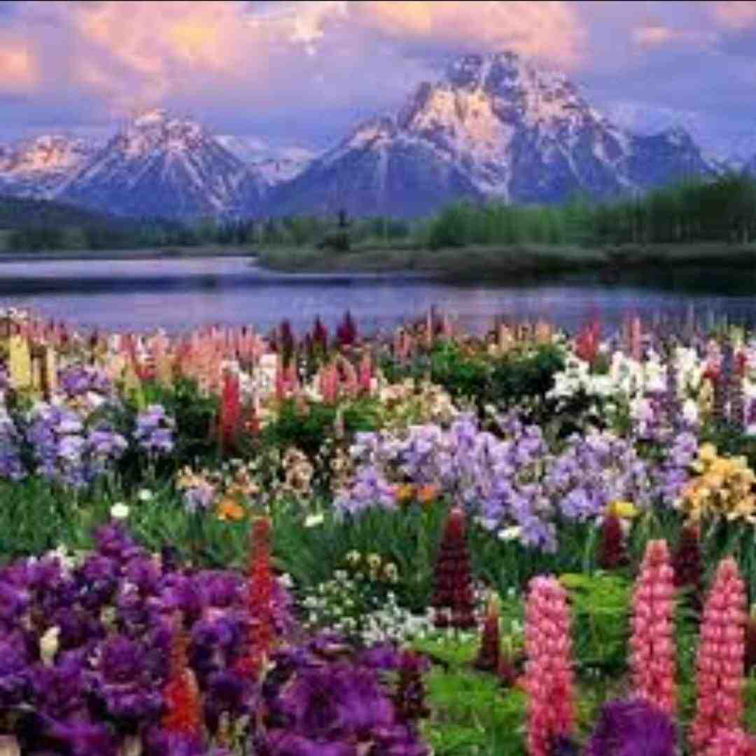 روی دریا روی ابرا توی قایق دنبال ساحلیم