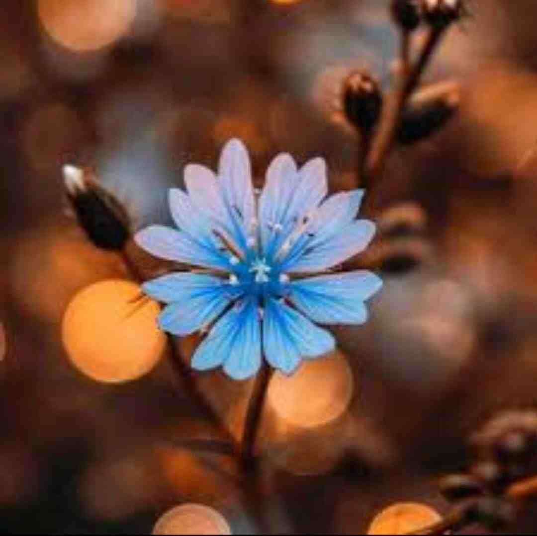 یادم رفت حسامو دادم رفت هرچقدر باشم پیش تو