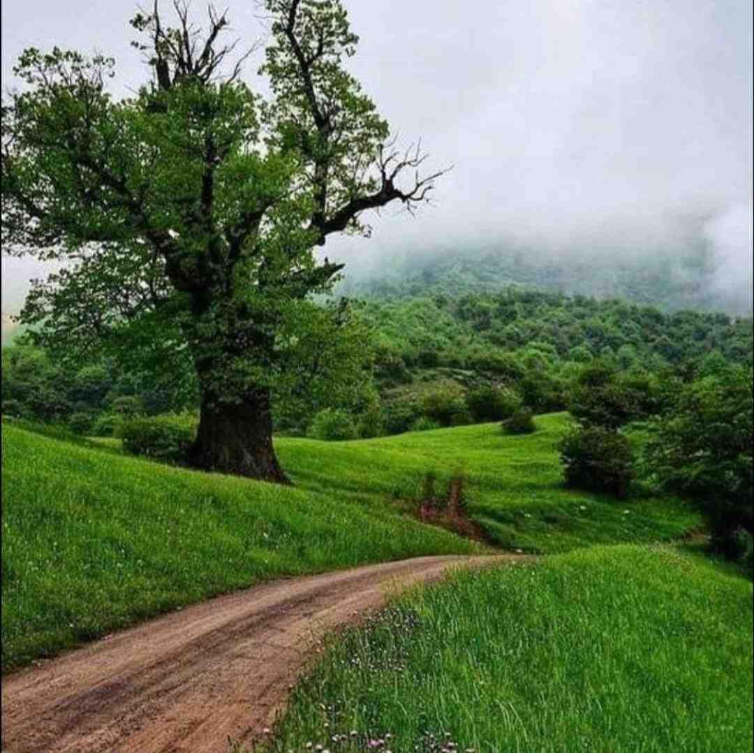 یار دردونه ی من عشق ممنوعه ی من با صدای دختر