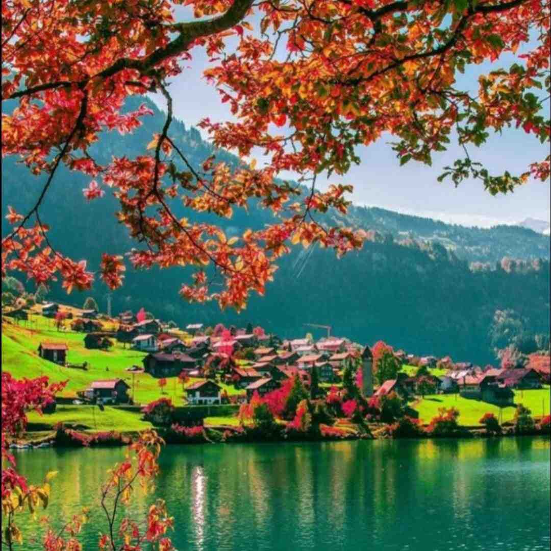 هیچ خبری بد نی وقتی یه باتل پر جلومه
