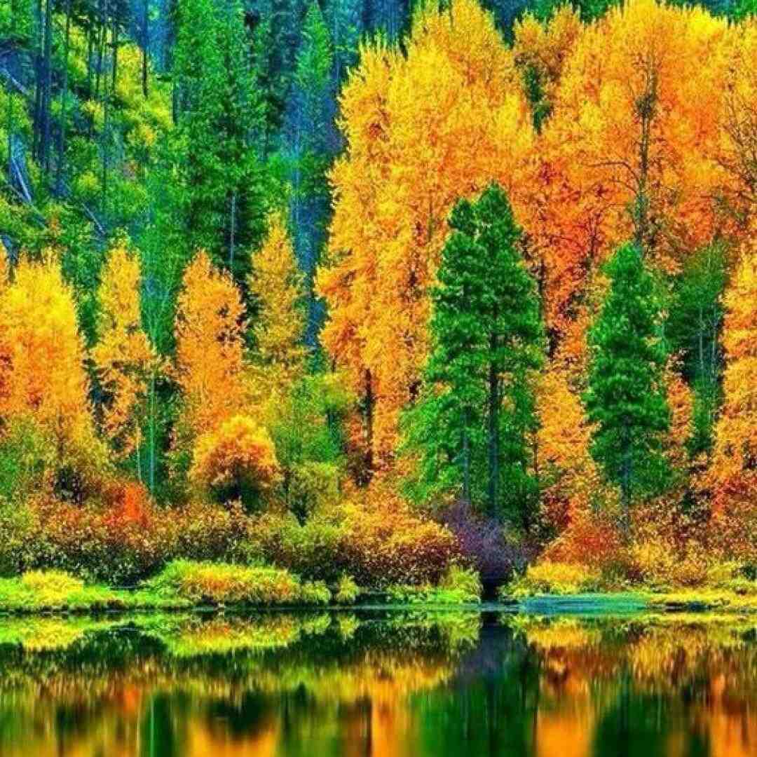 لیلا لیلا میگن که تهش قهره