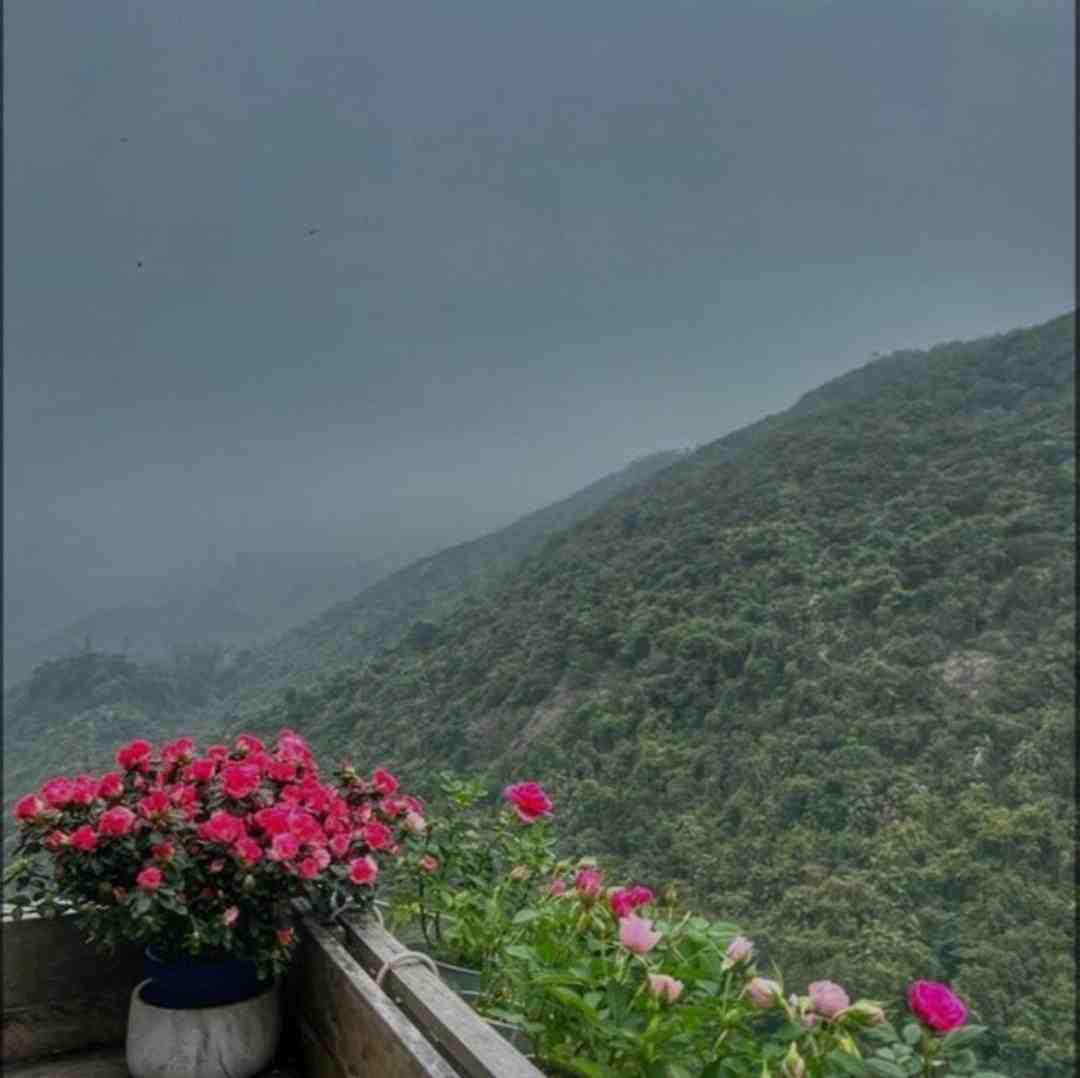  ﺑﻠﻪ رو ﺑﮕﻮ ای ﻳﺎر ﻋﺎﺷﻘﺖ ﺷﺪم ای وای - ارکستی