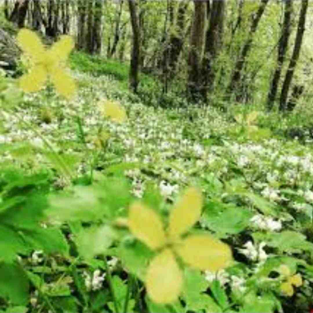 کجایی بگو الان تنها کسی که داشتم بشم اطمینان