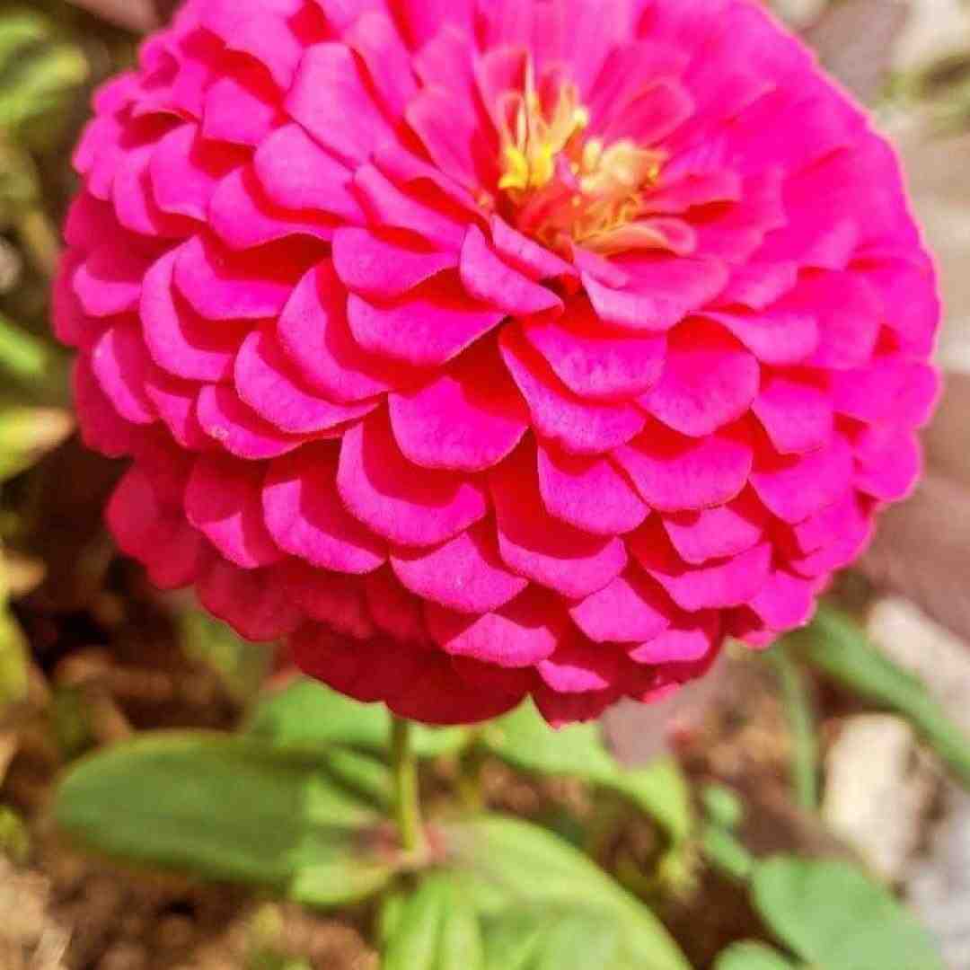 آسمون ما نمیای پر پروا