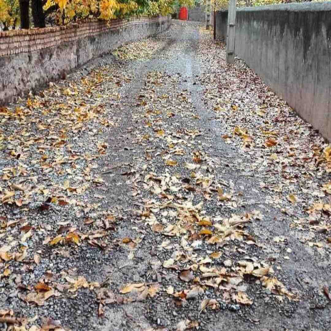  برو بچه پررو کم بیا چشم و ابرو