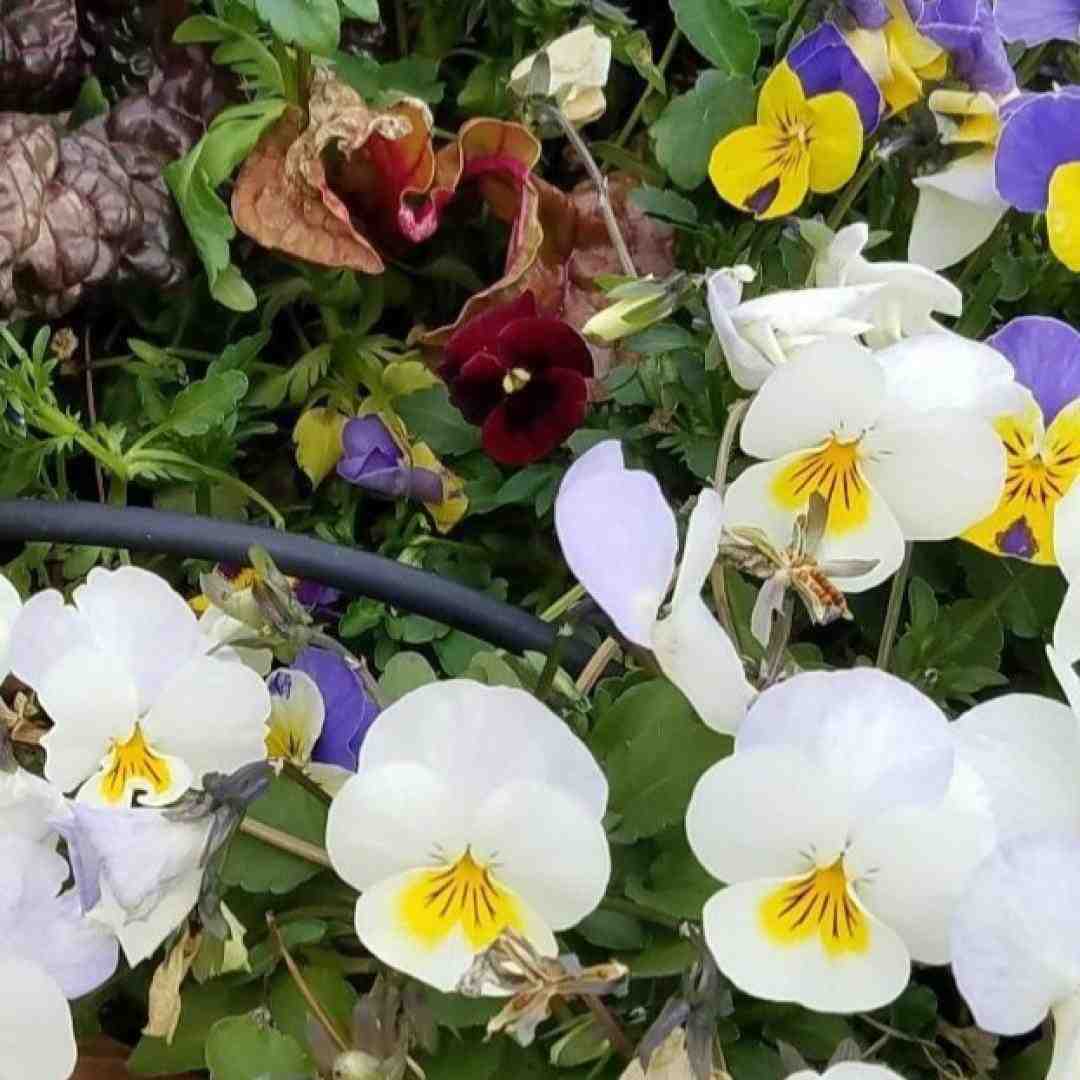  وقتی میای صدای پاتو که میشناسمش با صدای پسر بچه