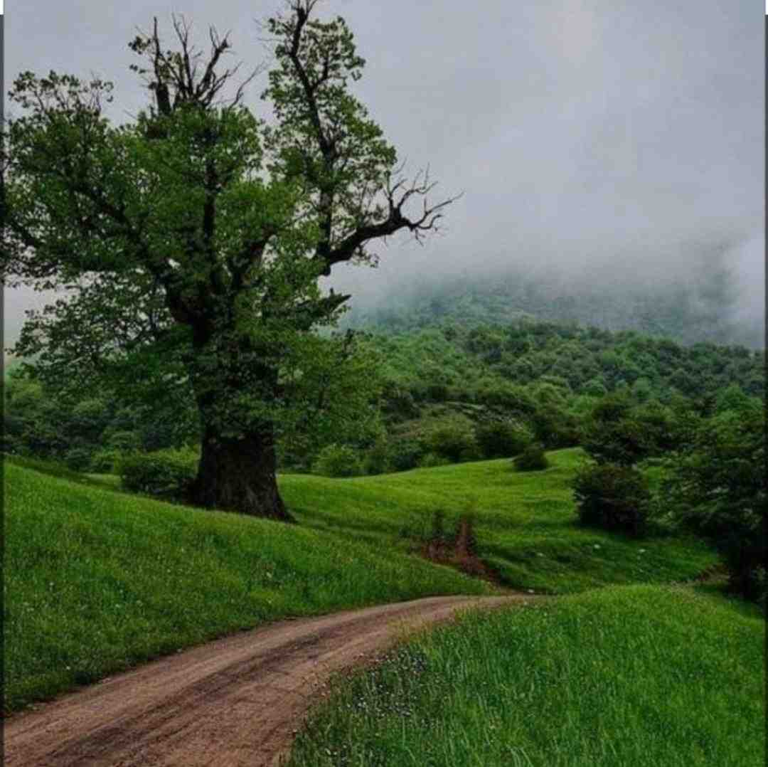  عاشق شدنم قصه ی دیوانه شدن بود با صدای پسر