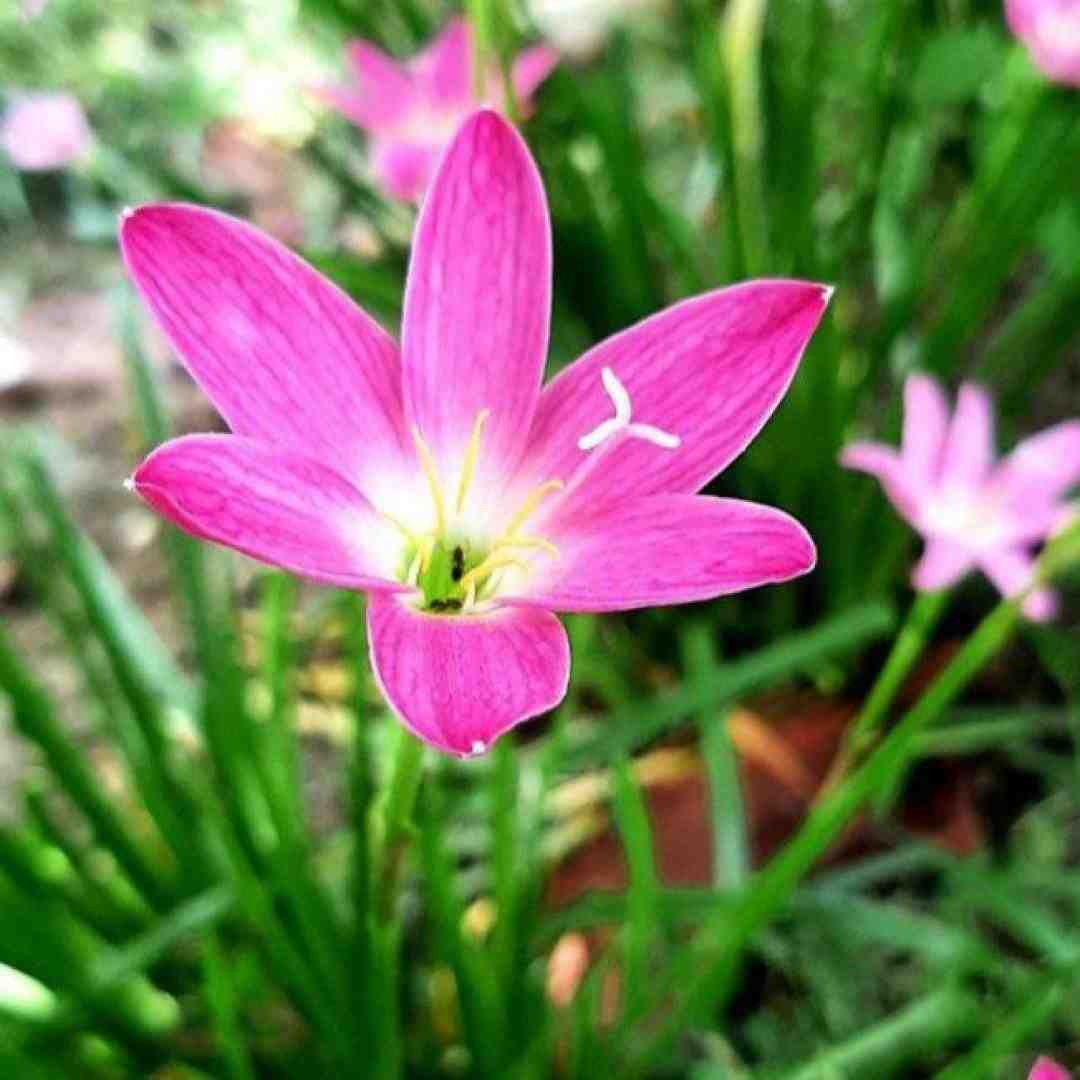  انگار قدمام به این خیابونا وقتی که تو نیستی با صدای پسر