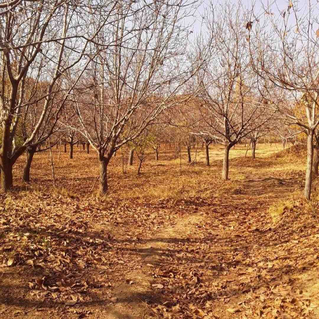 چرا واسه نجات بقیه فرشته باشم وقتی