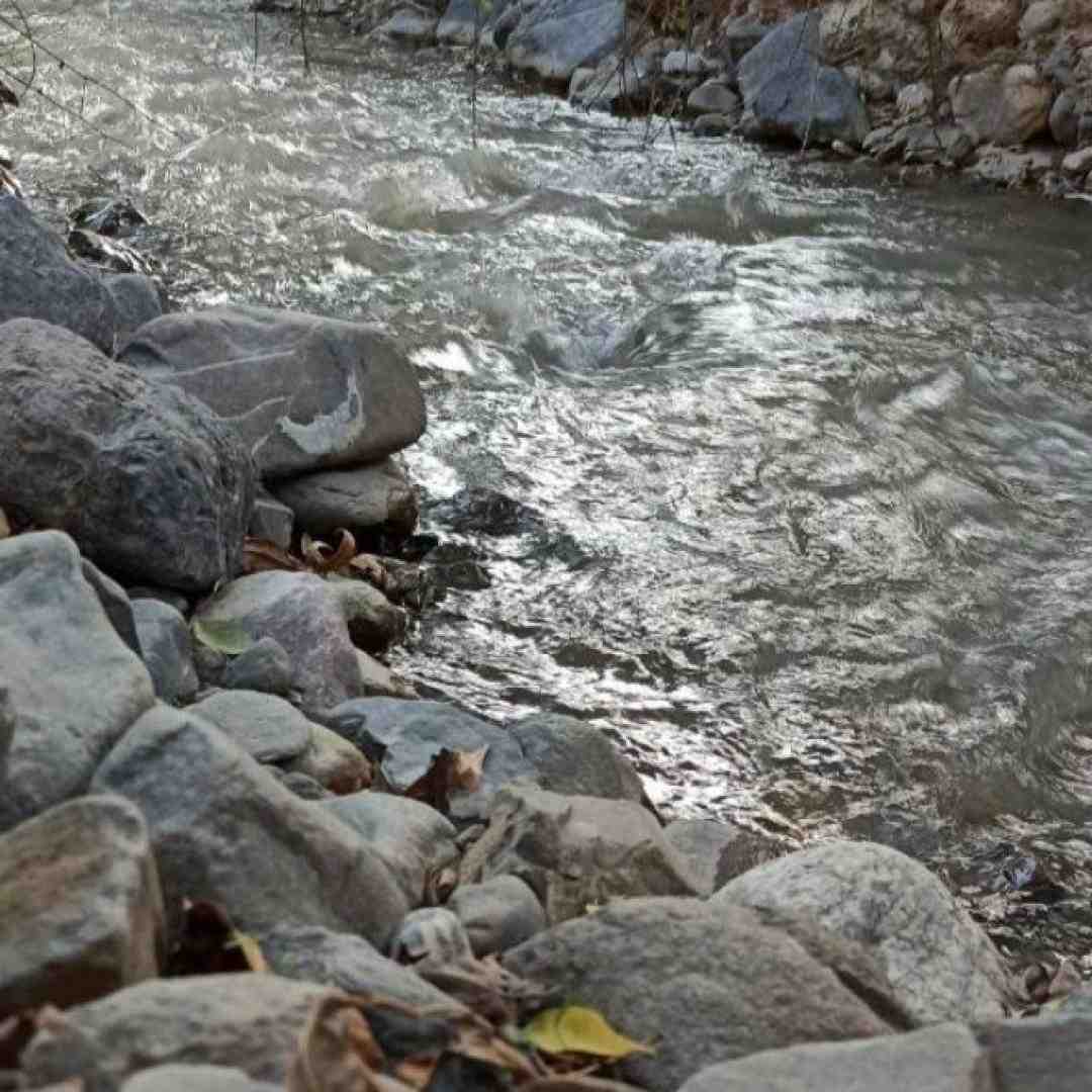  دلم یه کوچه غمت تهرونه اتاق بغلی یه دخترس خوشگل (ترند اینستایی)