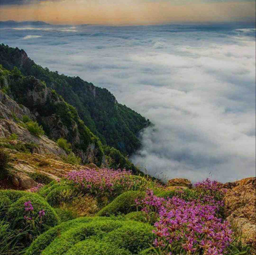  داری با زیدایه خسیسی زندگی میکنی که خرجتو نمیدن