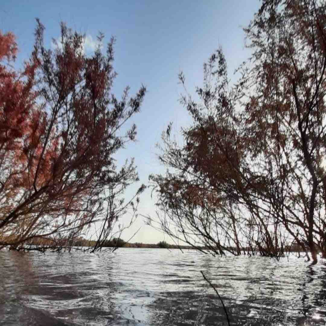  غما زیادن بابا نبودی بابا