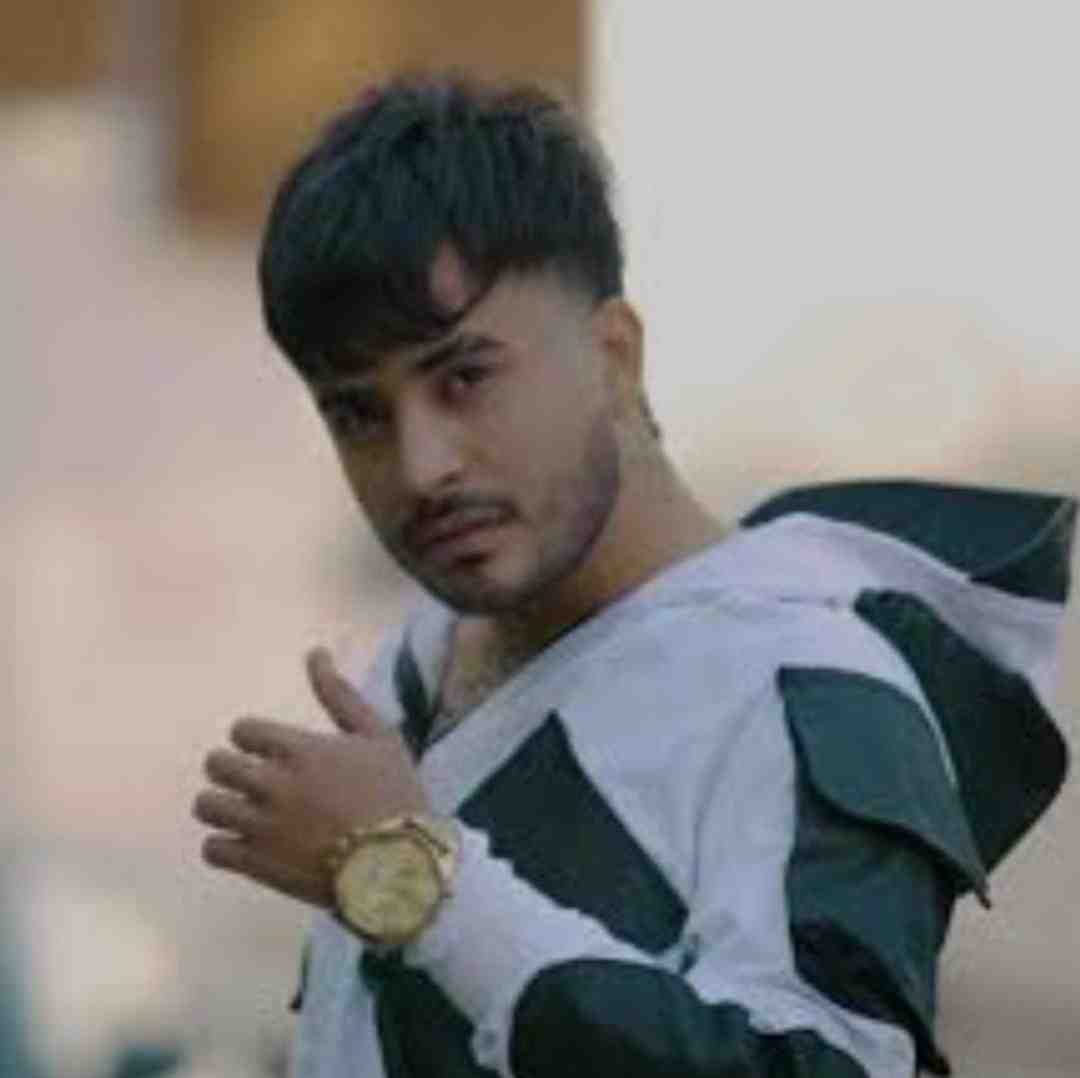 میلاد راستاد لیلا