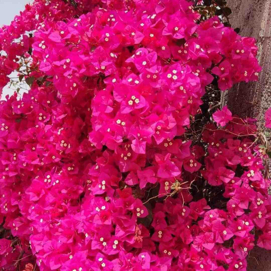 تق و تق هی زدم رو همستر زدم