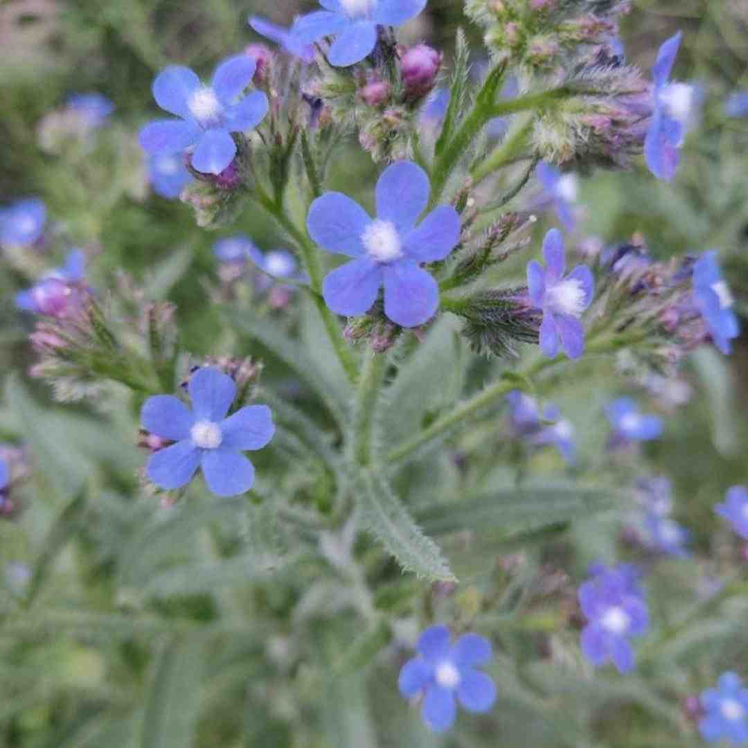  روزا میگذره با خاطراتت باختم منه ساده با صدای دختر
