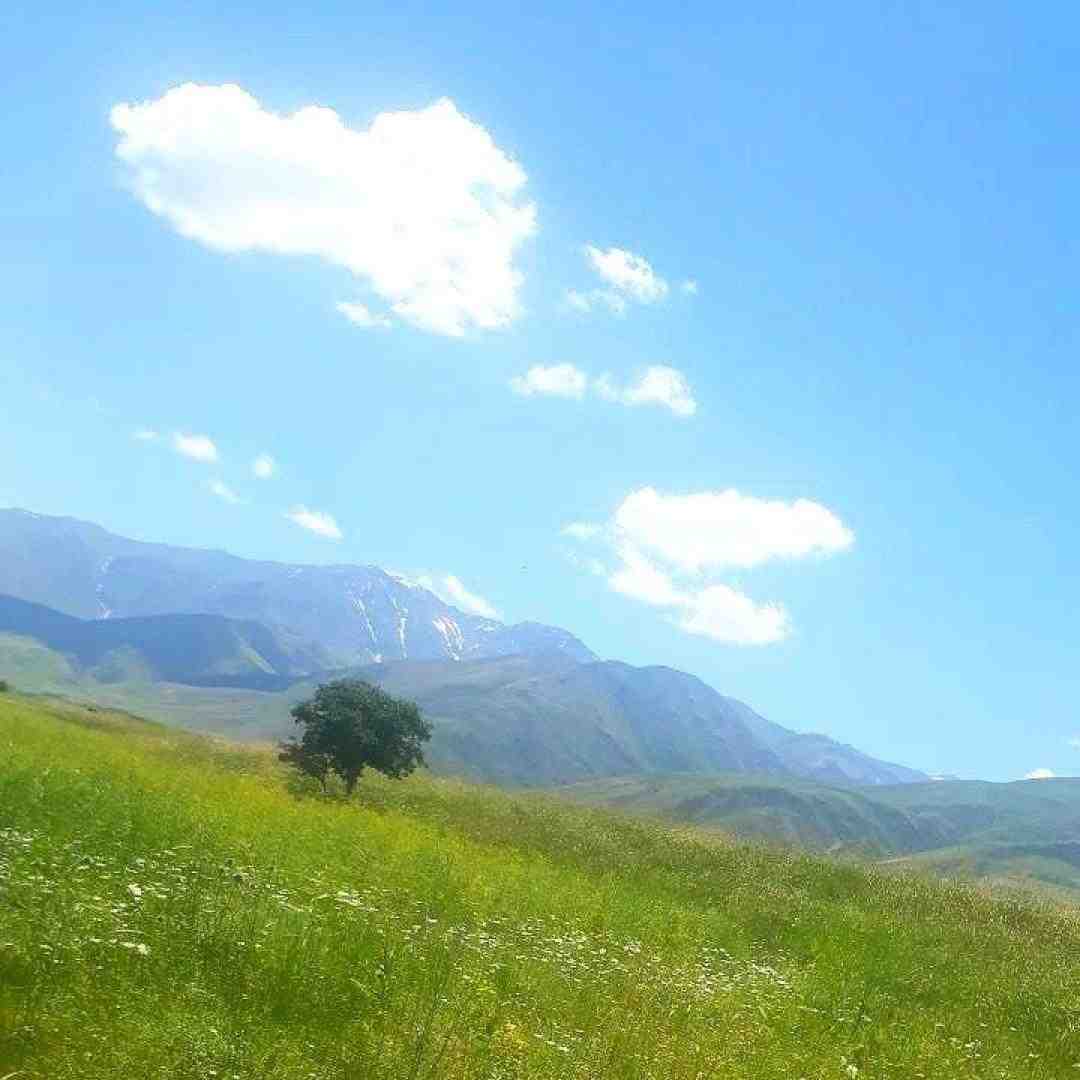  میترسم بری تنهام بزاری فرهاد خسته شد