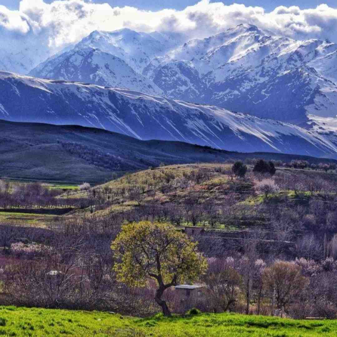 یا برگردیم به هم من حاضرم تو با قلبت بیا با صدای زن