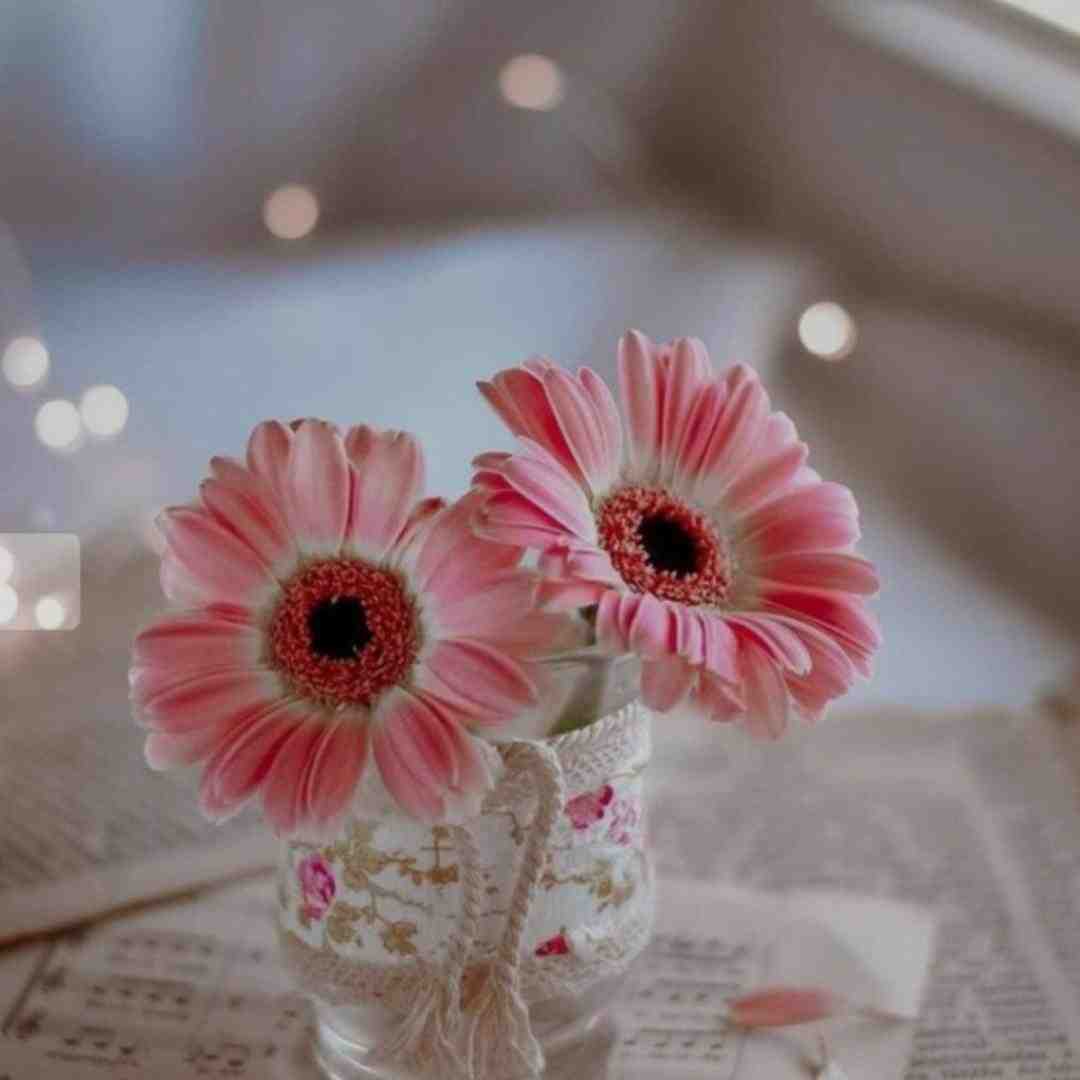  چنو بخت مه داره سر ناسازگاری با صدای پسر