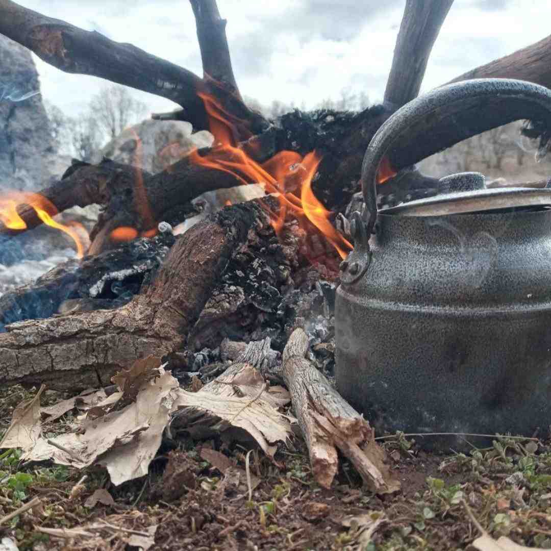  یک دو سه چهار بشماری بردمت روی کار