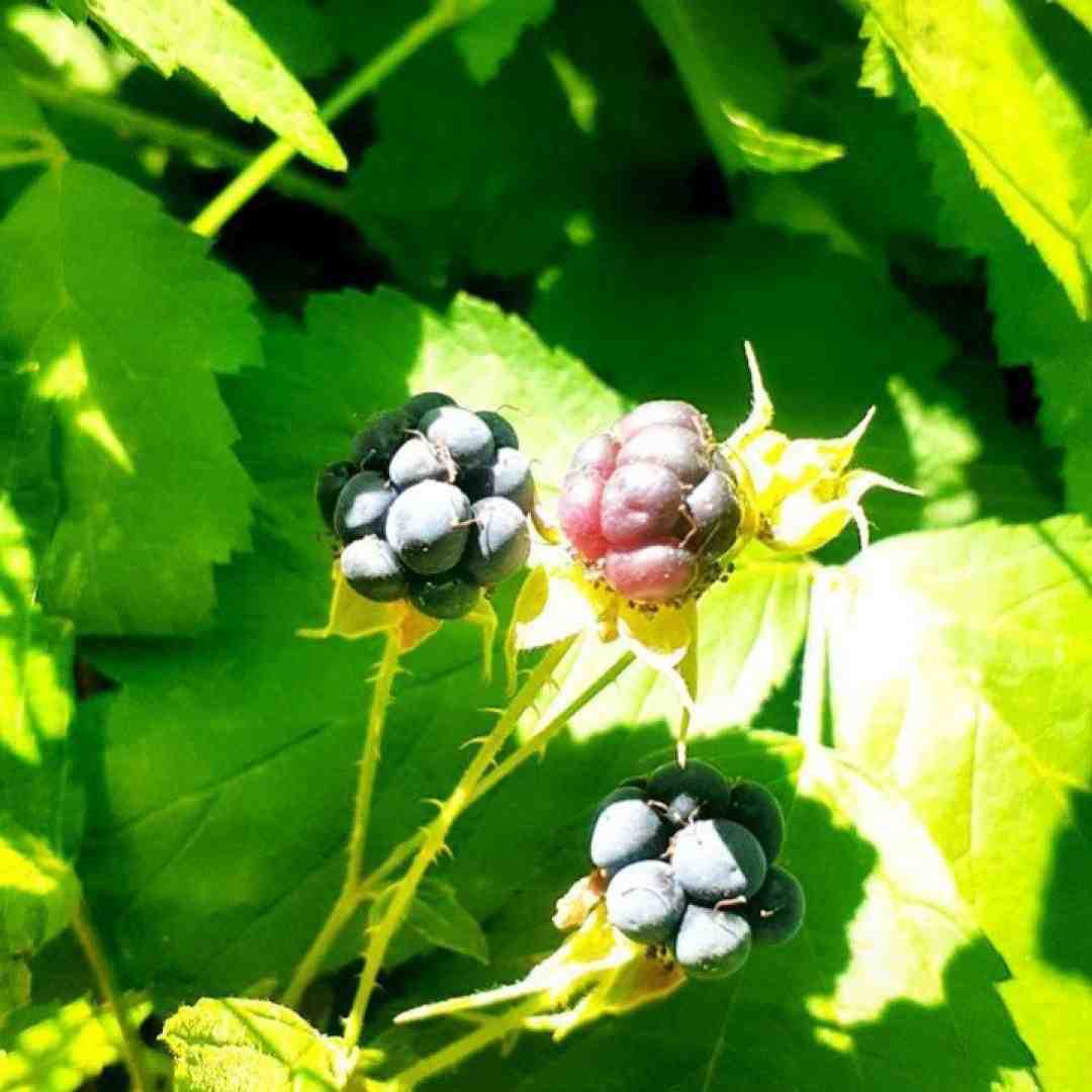  نه نای موندن هست نه پای رفتنو نه چیزی