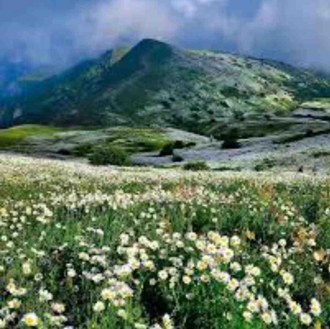 کل ذوق و شوق من از دست داره میره