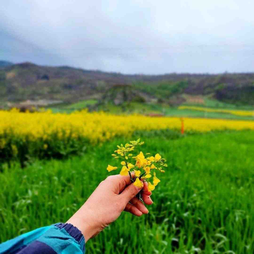 نچراله بدون میکاپ چقدی داف شده چیکی