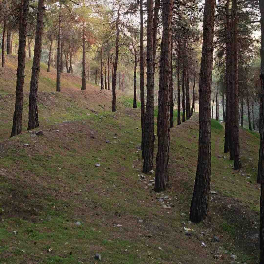 به تو نامه مینویسم ای عزیز رفته از دست