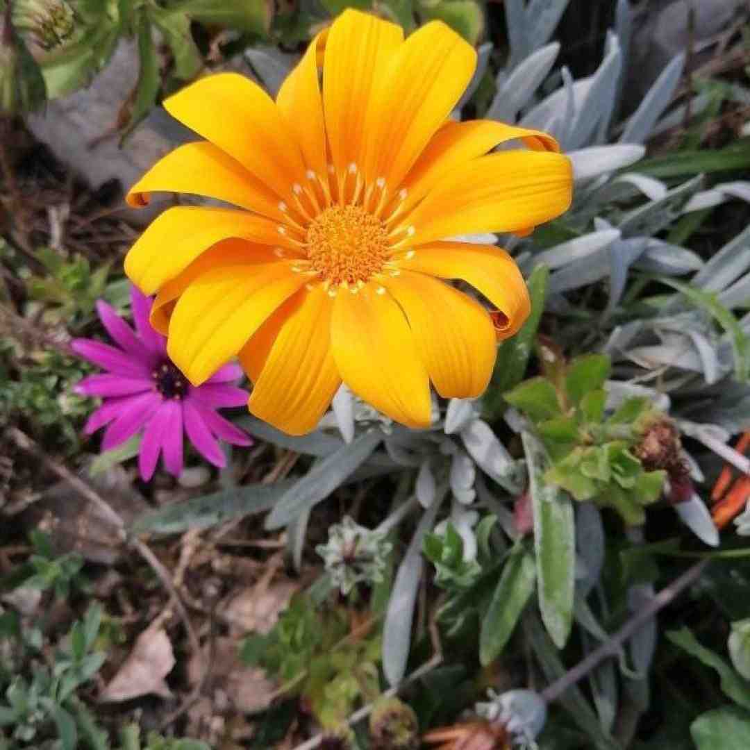  مثل تو جایی ندیدم چقدر تنهایی کشیدم با صدای پسر