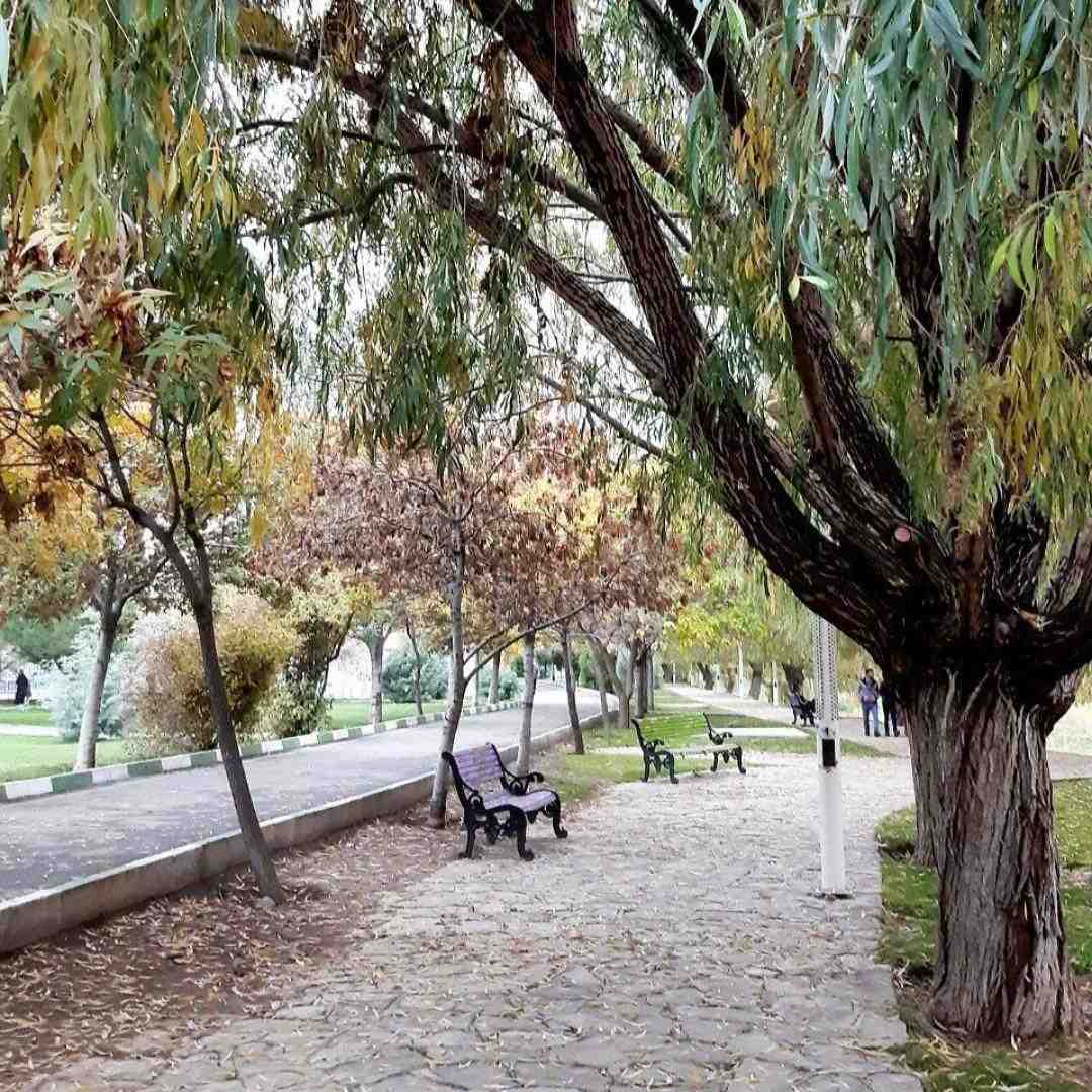 عشق تو خوابی بود و بس