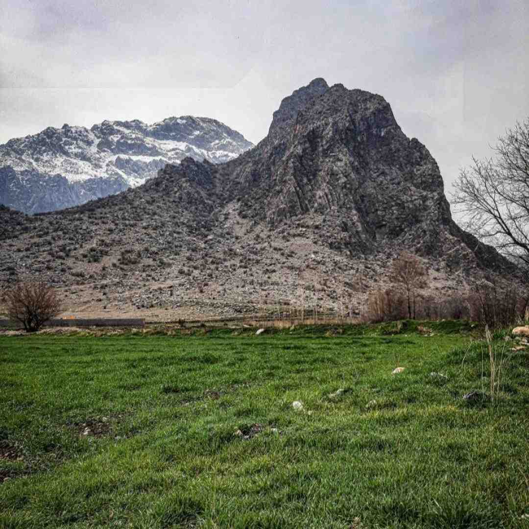 دوران طلاییه نوجوونی رفتش