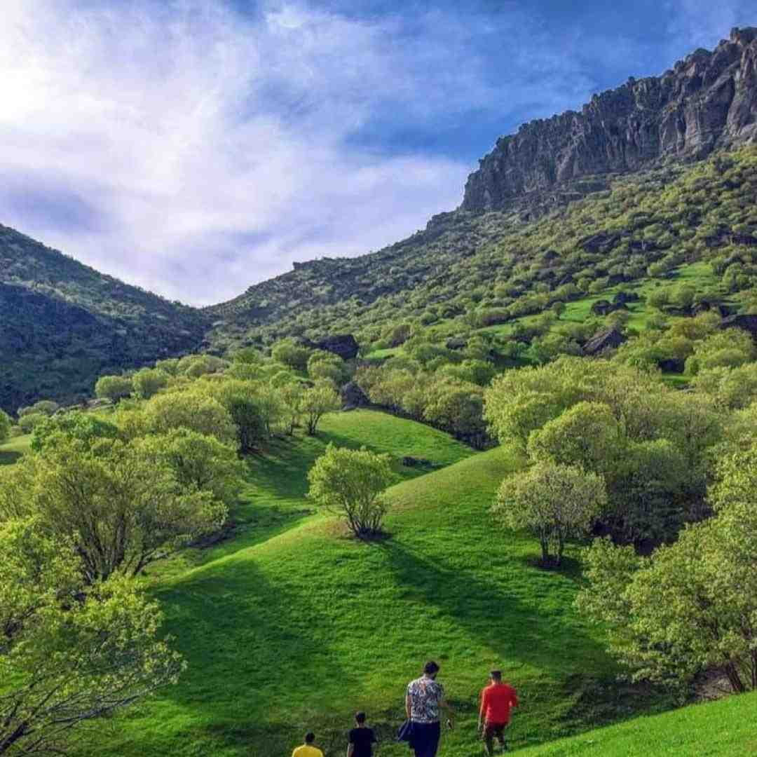 بیا بیا فرفری جونم تو که میدونی میترکونم