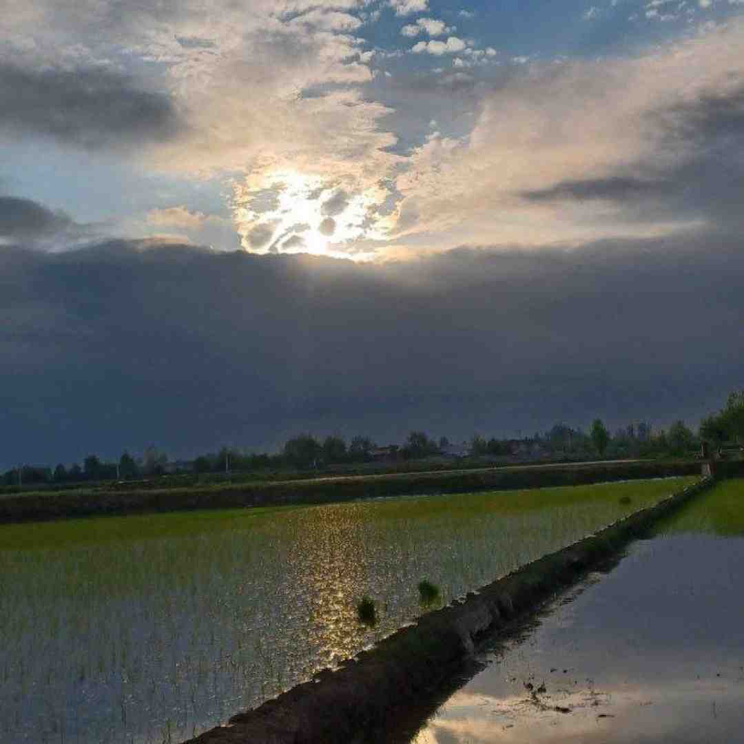  اون شبو یادمه هنوز ساعت یکه نصف شب با صدای پسر