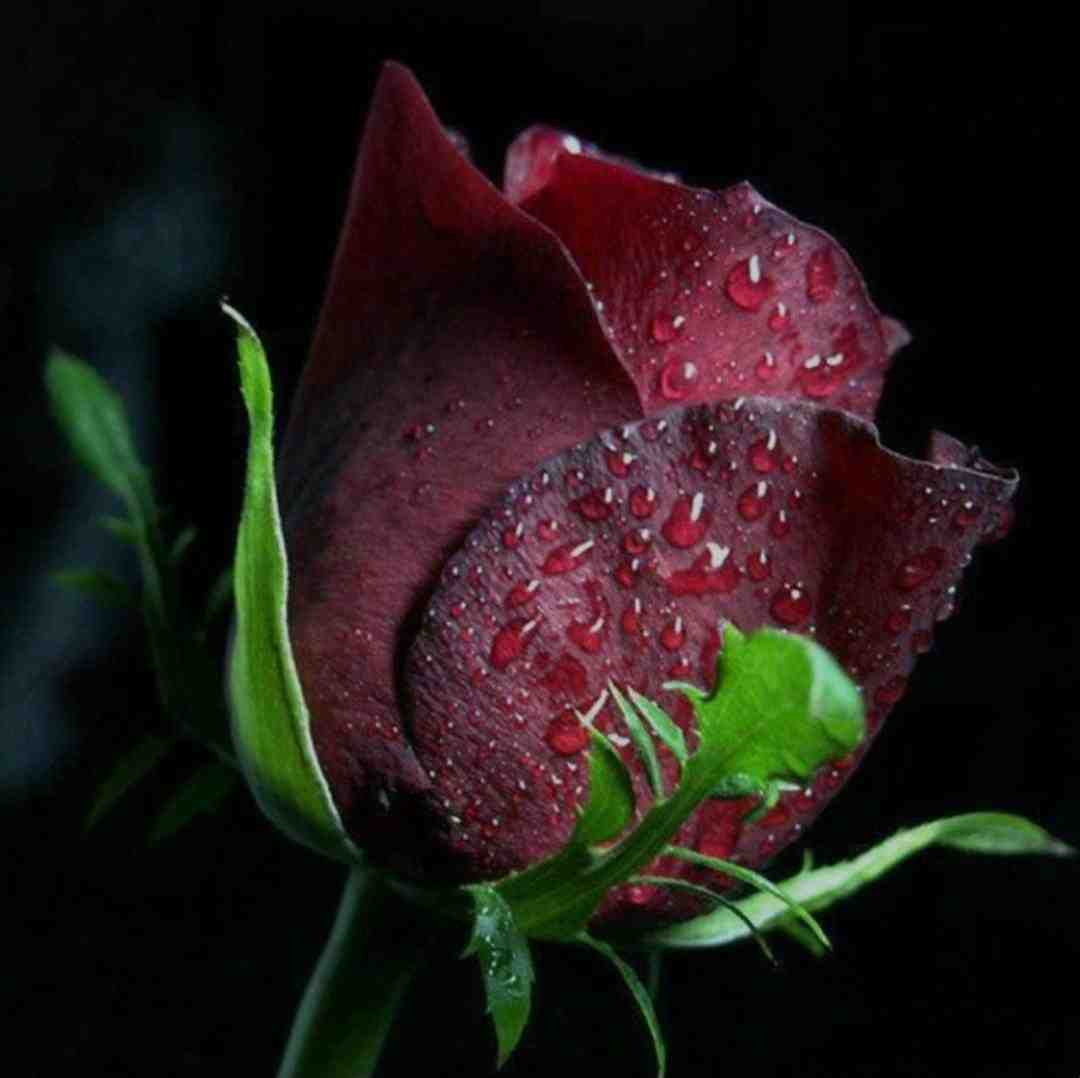 مگه میشه باشی و تنها بمونم با صدای پسر اینستایی