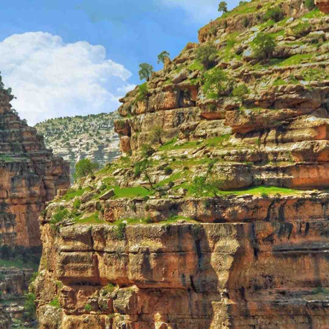  تنگه دلم واسه مهمونیا زخمه تنم بعد شیطونیا با صدای دختر