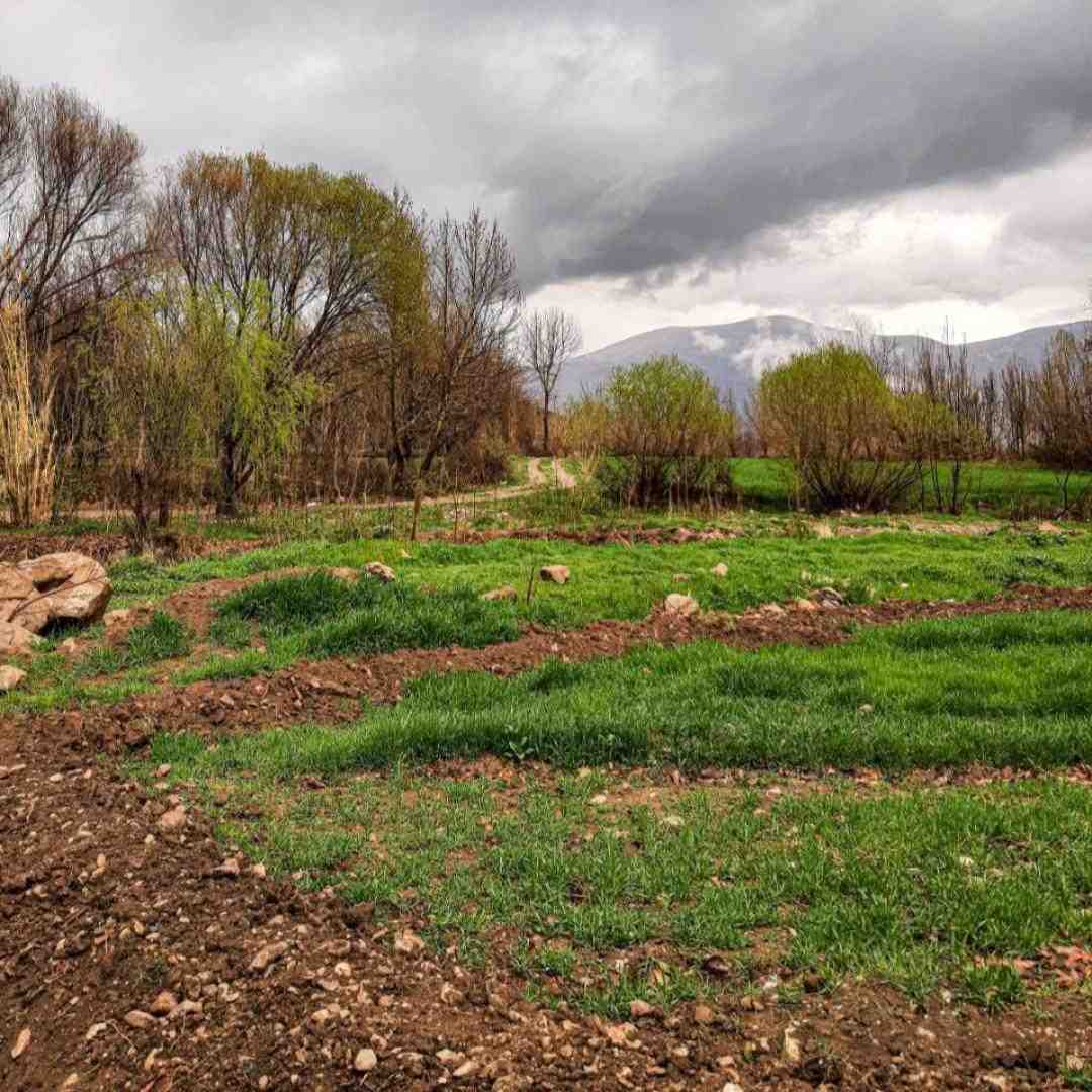  ای شاخه ی پر گل قشنگم اینستایی
