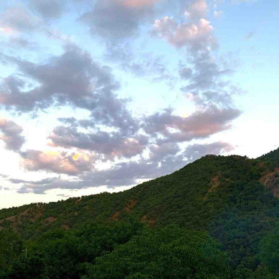  آره آره ایندیکارو نیستم ستیوارو آره