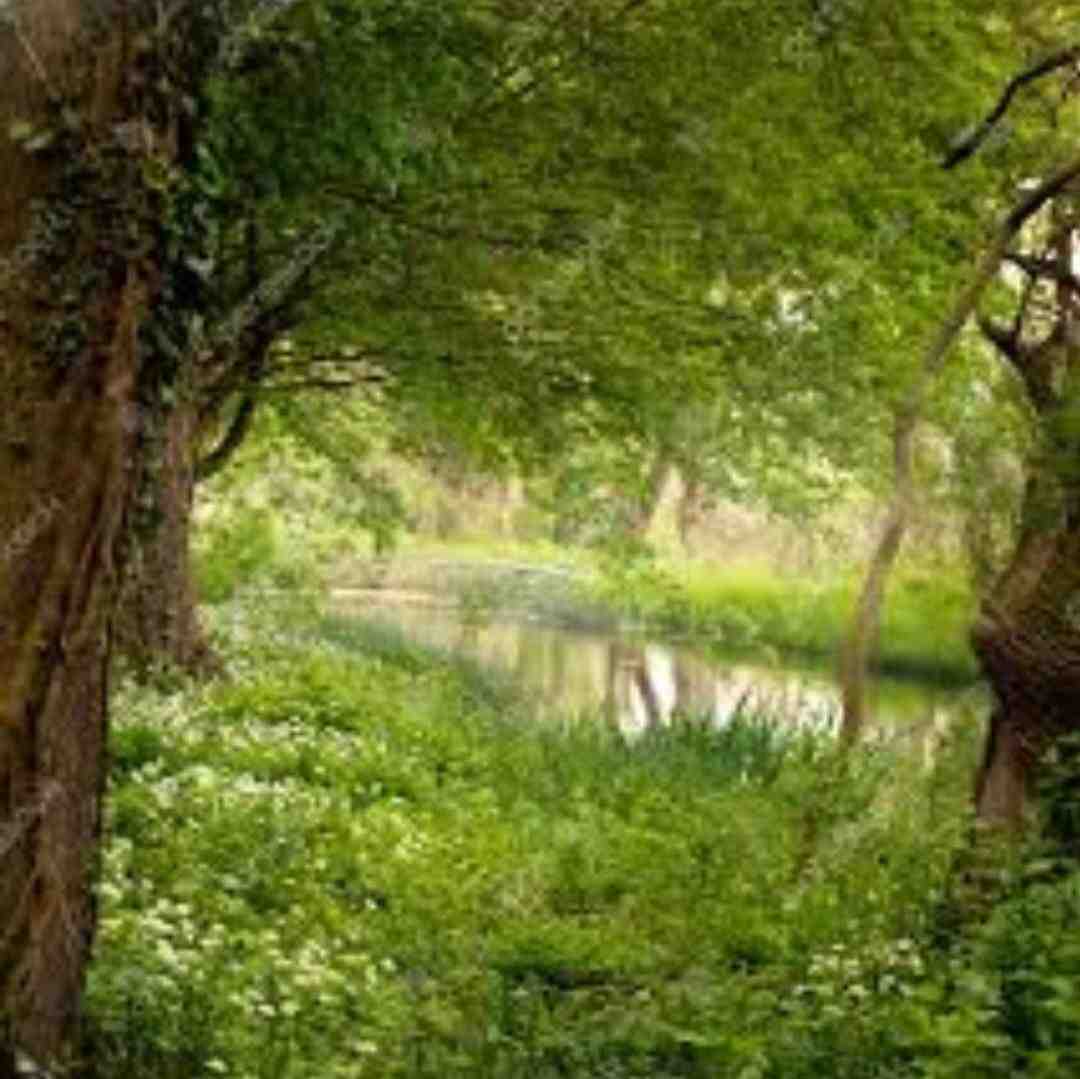 من عاشق گودی کمرتم لب رو گردنت من بلدتم