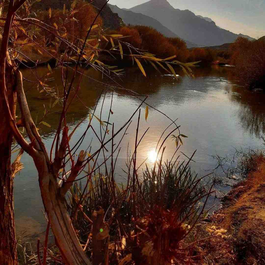 مثل اولاش تو عاشقم نباش صدای زن