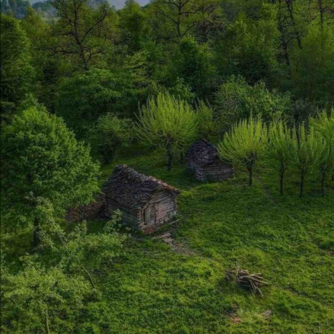  منو سیگار بیدار بیدار بیدار بی حال دورم دیوار