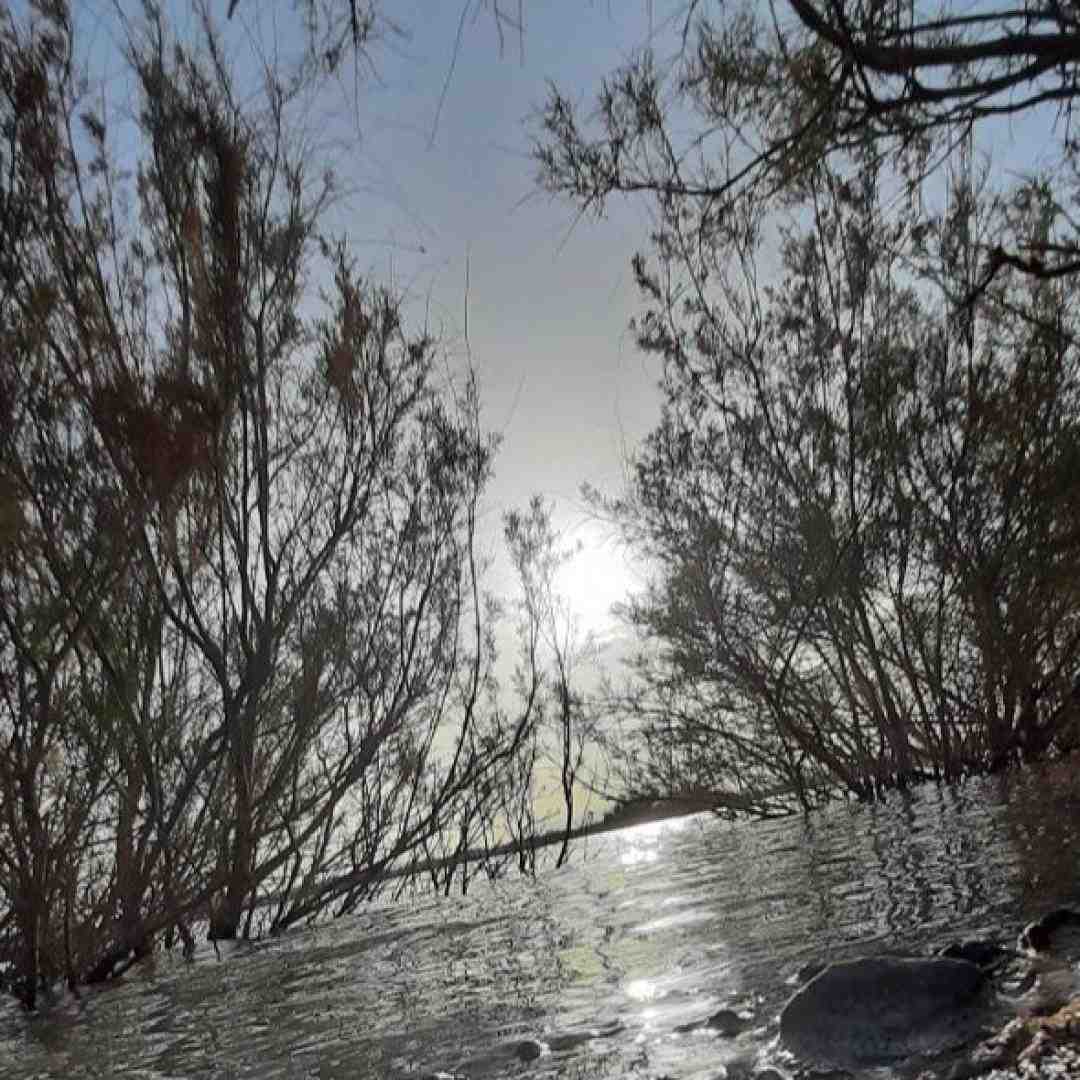 تو شهر آرزوهام دیدم یکی شبیهت با صدای دختر