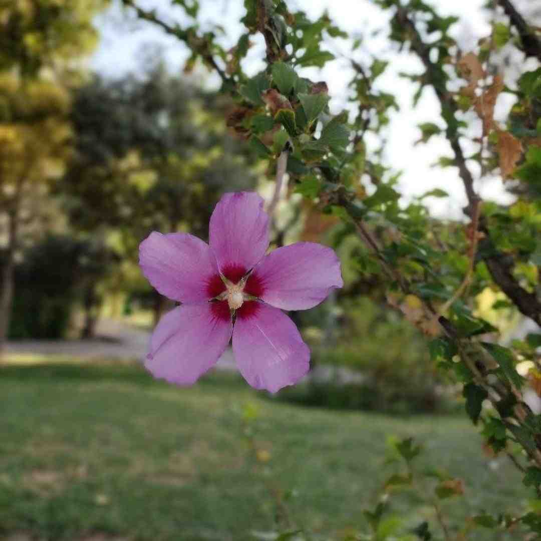  درکت نکنم که اسمم عاشق نیست با صدای دختر
