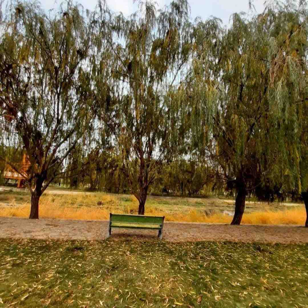 چرا برمیگردم هی با تو